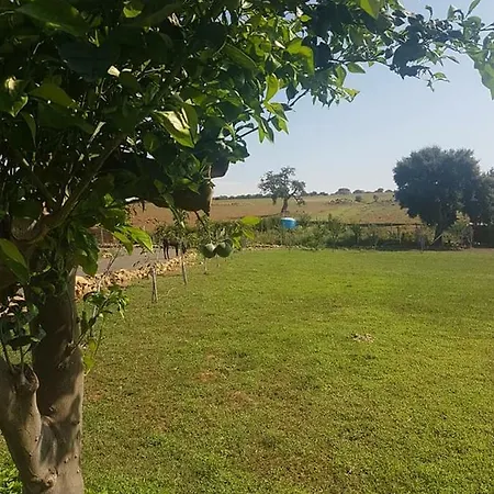 Κάμπινγκ Sicily Ranch